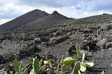 Land: Lanzarote