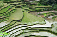 Land: Philippinen/Kuala Lumpur